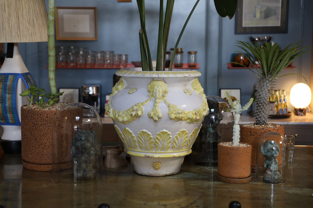 Yellow and White Ceramic Planter