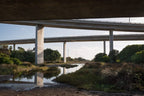 Untitled, San Diego River #1 by Dalton Rooney