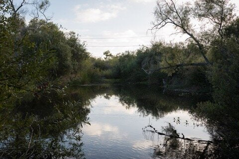 Untitled, San Diego River #2 by Dalton Rooney