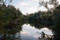 Untitled, San Diego River #2 by Dalton Rooney