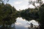 Untitled, San Diego River #2 by Dalton Rooney