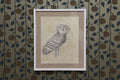 Patterned Owl on Yellow by Christopher Marvell