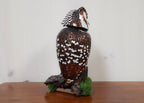 Great Horned Owl by Molly Painter