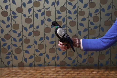 Pigeon by Molly Painter