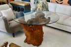 Vintage Root Wood Table