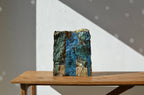 Reclaim No. 66 by Jonathan Mess