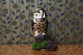 Great Horned Owl by Molly Painter