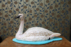 Swan by Molly Painter
