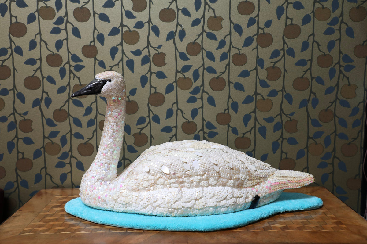 Swan by Molly Painter
