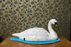 Swan by Molly Painter