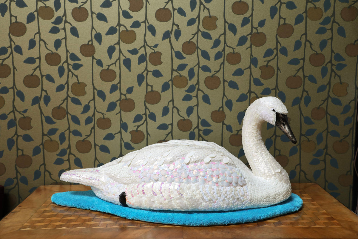 Swan by Molly Painter