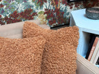 Teddy Bear Brown Pillow