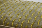 Ann Chaise, Dedar Nouvelle’s Vagues