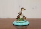 Wood Duck Ducklings by Molly Painter