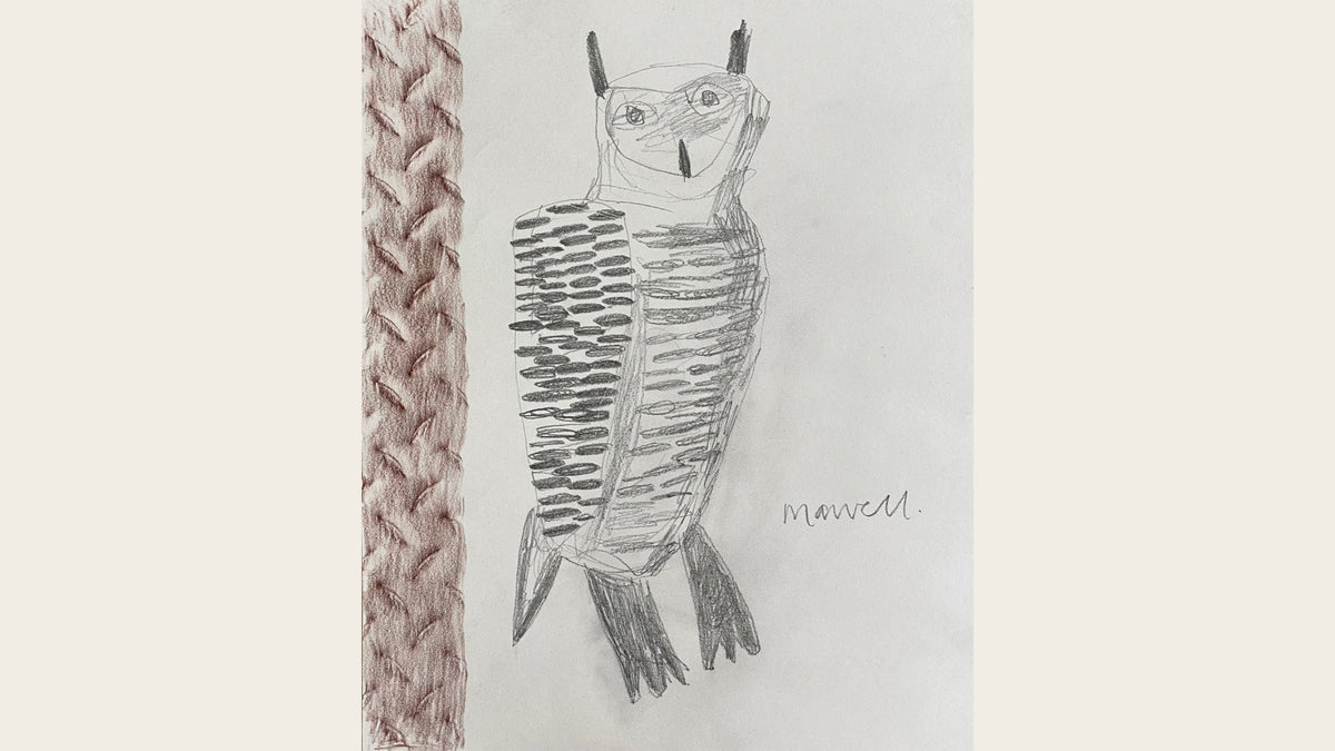 Long Eared Watching Owl by Christopher Marvell