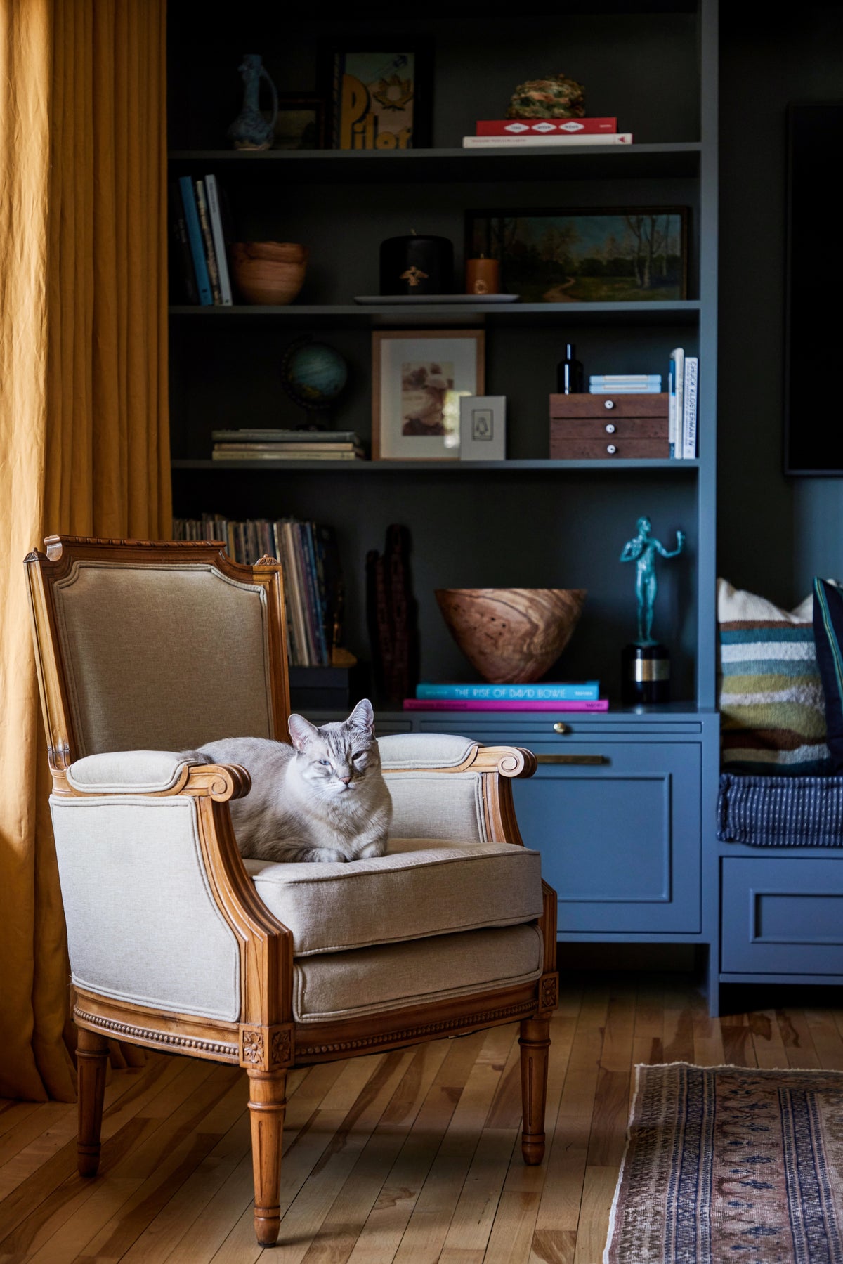 Cat resting on an antique armchair beside blue built-in shelving, Martin & Brockett Eastside Hills