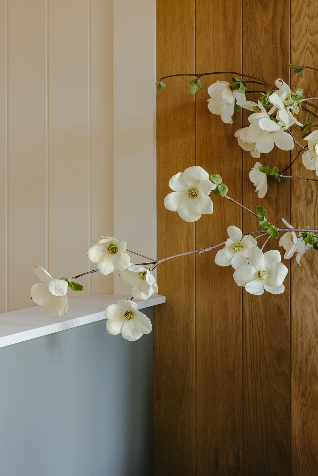 Blossoming branches set against warm walnut paneling, a detail from Martin & Brockett's Pasadena project